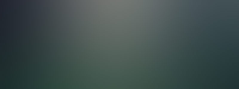 Culture de Mycélium